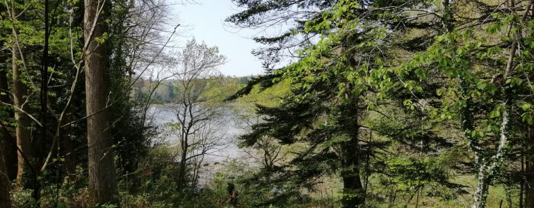 l'odet vue du camping